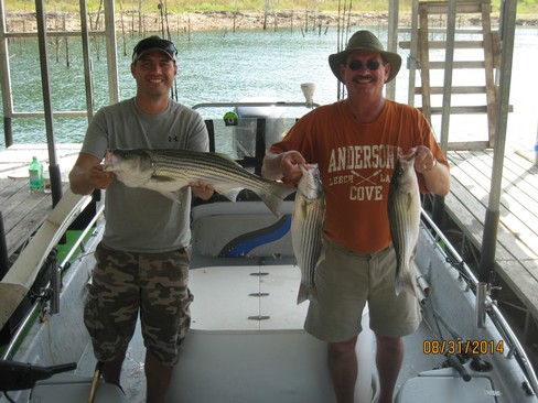 Nice Striped Bass